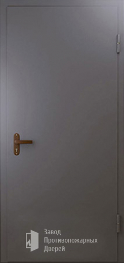 Фото двери «Техническая дверь №1 однопольная» в Королеву