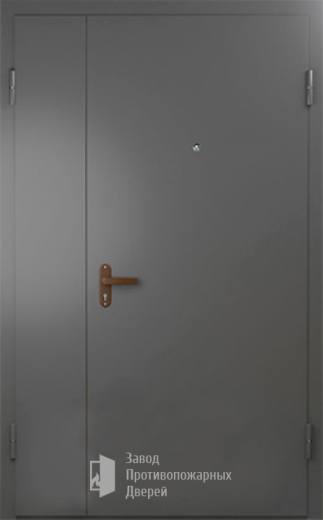 Фото двери «Техническая дверь №6 полуторная» в Королеву